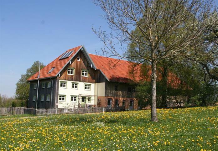 Schönhaar Schwenden 2 * Argenbuhl